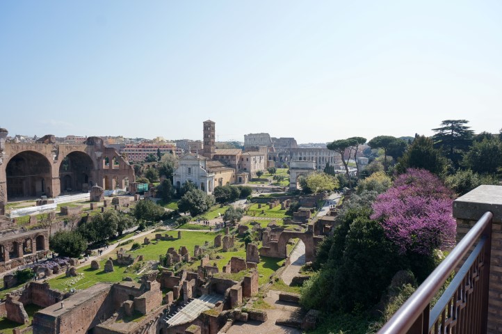 Rzym - Forum Romanum i Koloseum.JPG