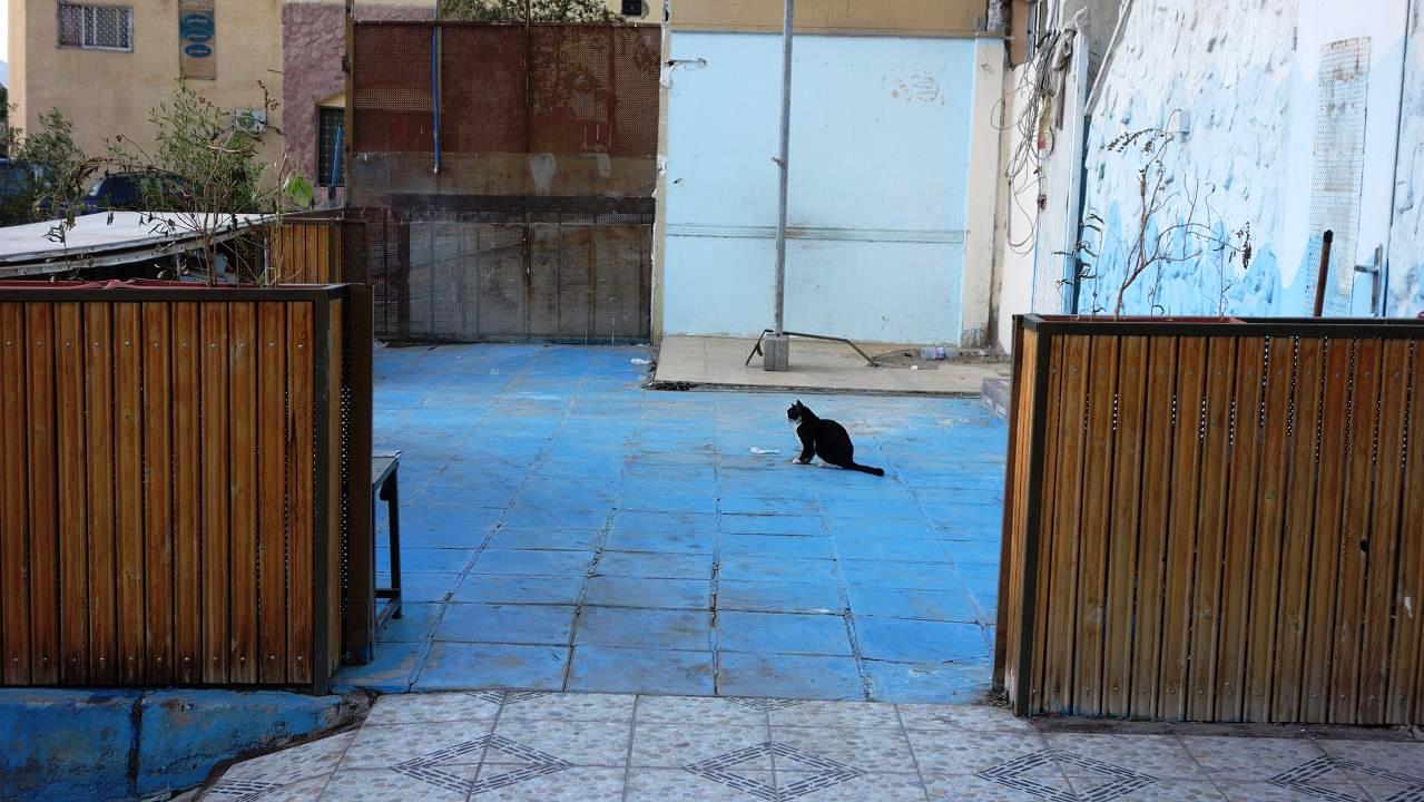 DSC00616.jpg