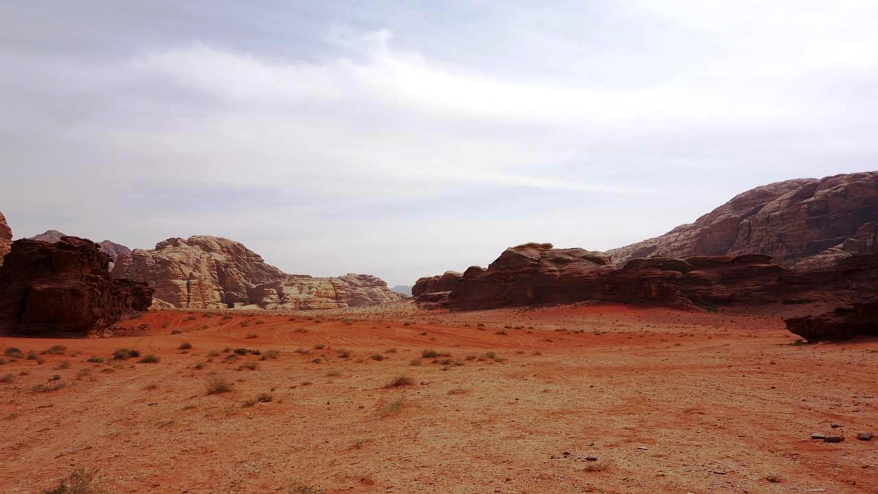 DSC00773.jpg