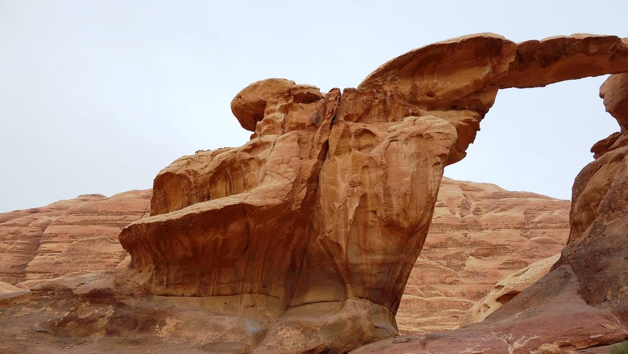 DSC00833.jpg