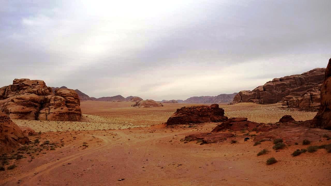 DSC00837.jpg