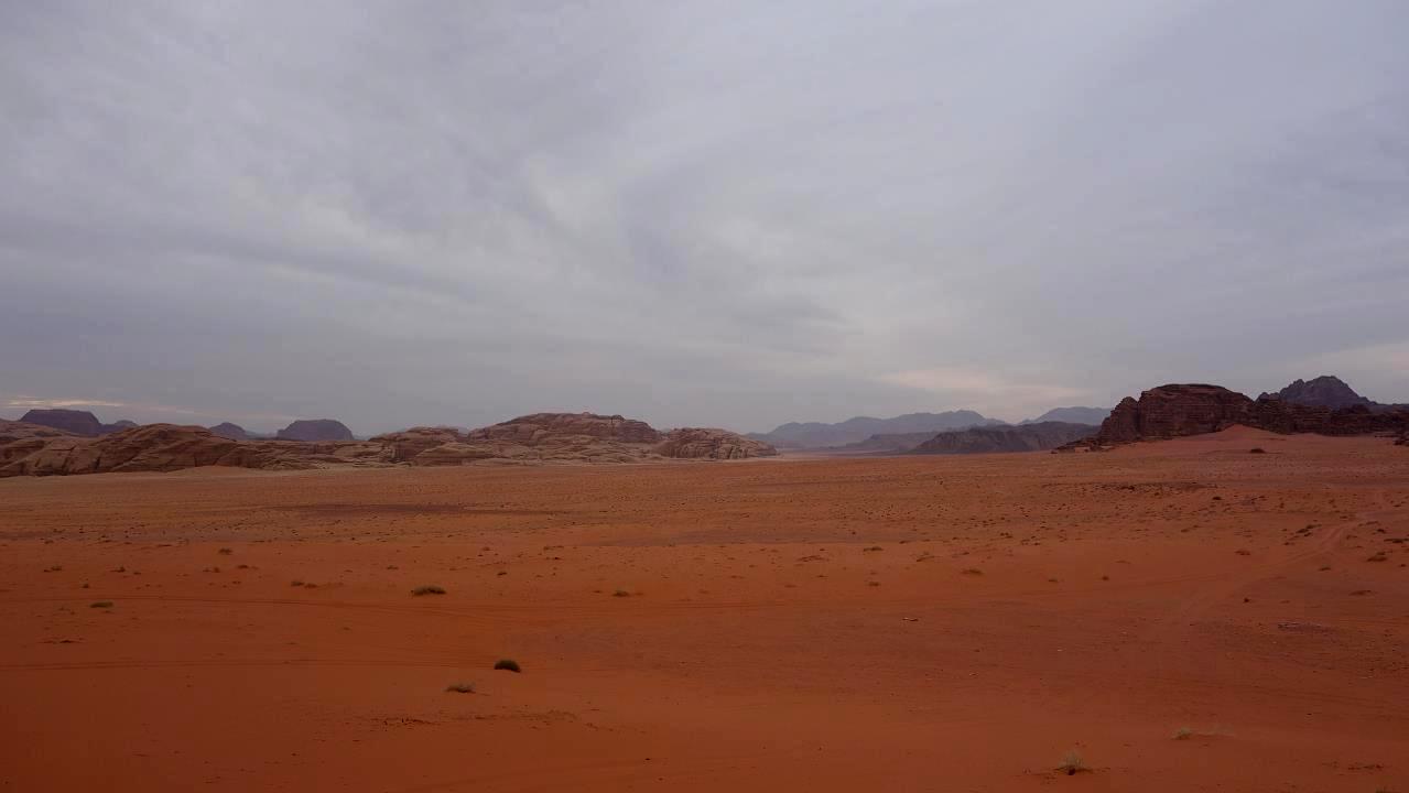 DSC00845.jpg