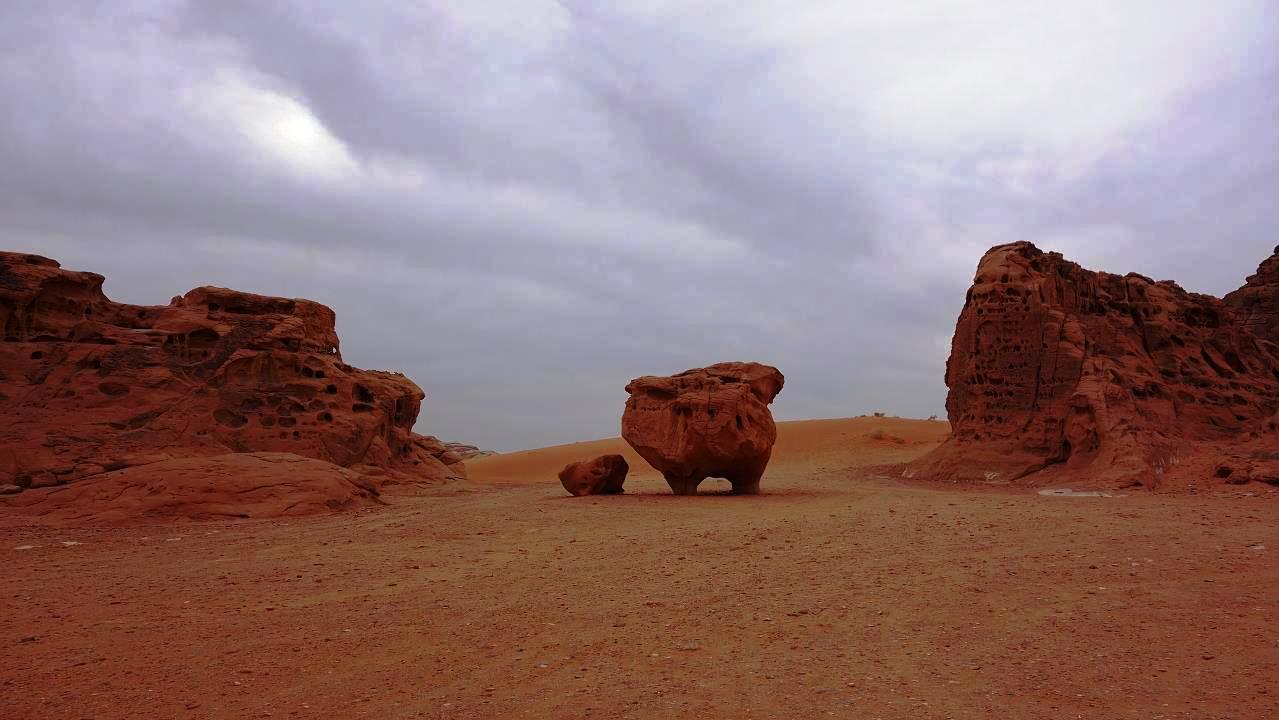 DSC00858.jpg