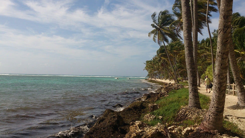 DSC_0543_1.jpg
