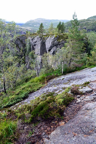 DSC_0017.JPG