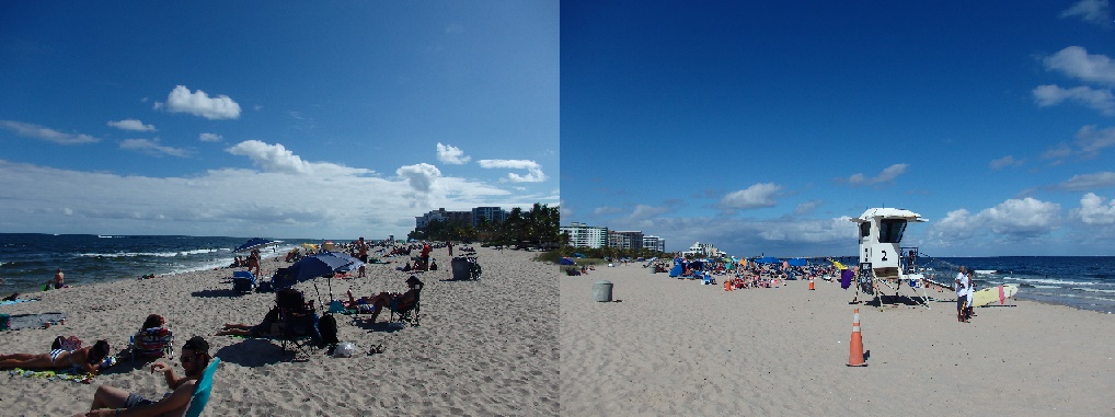 florida.jpg