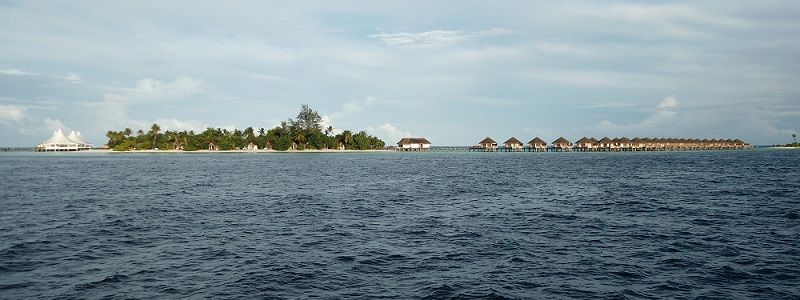 DSC01534.jpg