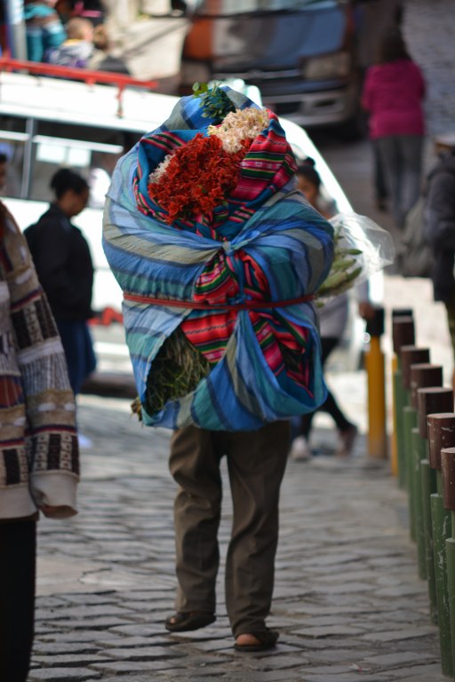 DSC_6571_512x768.JPG