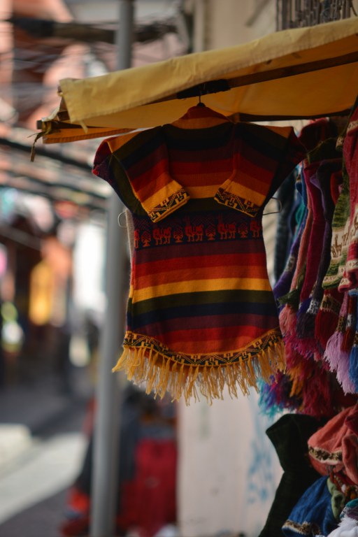 DSC_6572_512x768.JPG