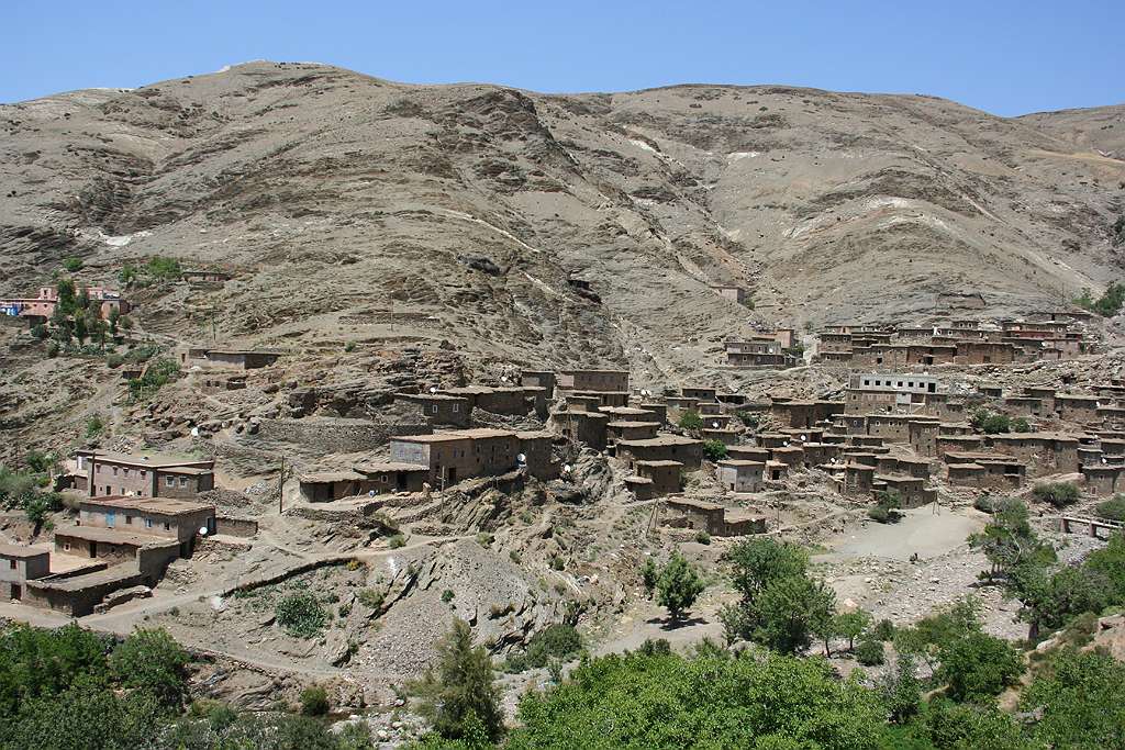 121-121.jpg