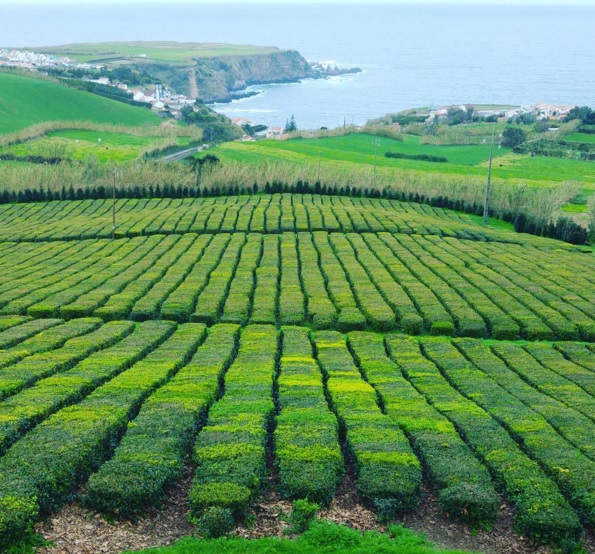 azores2.jpg
