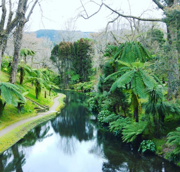 azores3.jpg