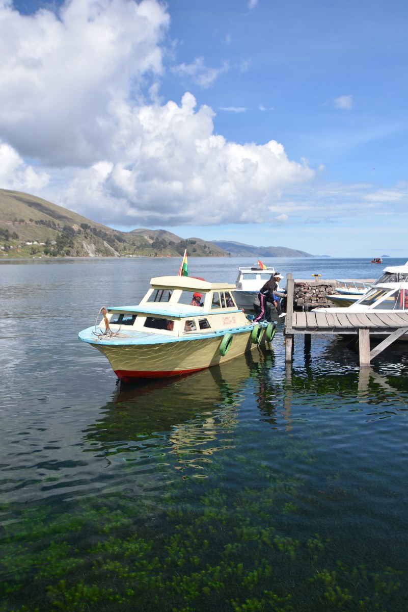 DSC_6828_801x1200.JPG