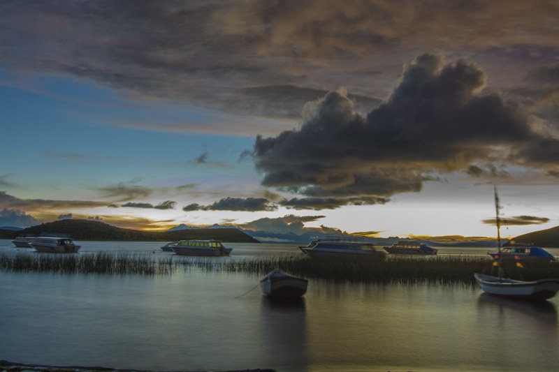 DSC_7140_800x533.jpg
