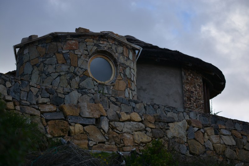 DSC_7182_800x534.JPG
