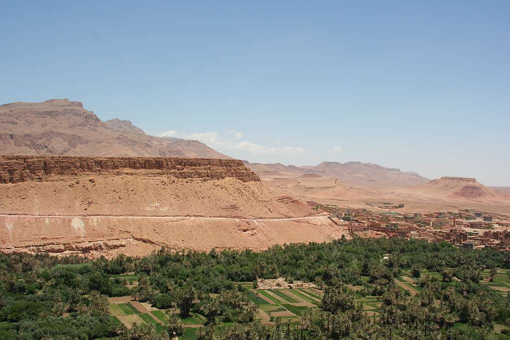 241-241.jpg