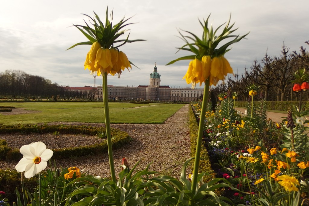 Charlottenburg_2.jpeg
