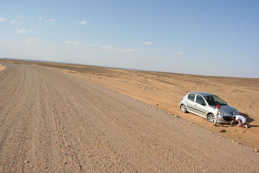 293-293.jpg