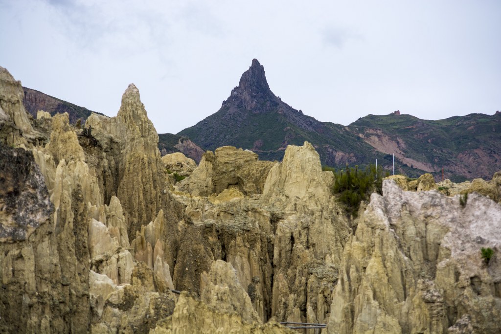 DSC_7370_1024x683.jpg