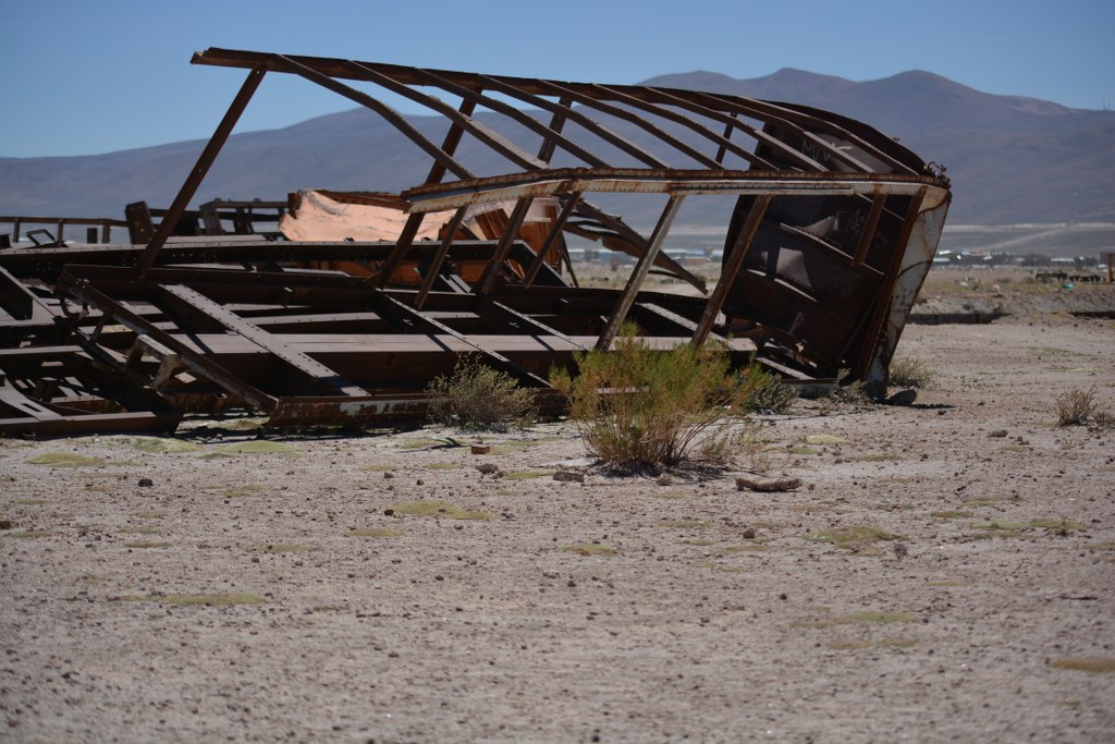 DSC_7441_1024x683.JPG