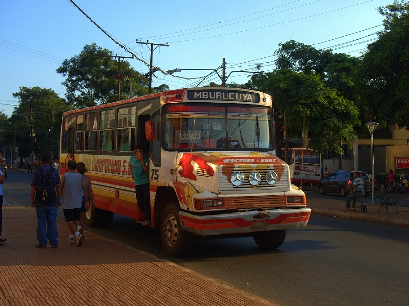Chickenbus.jpg