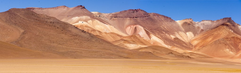 8_1024x313.jpg