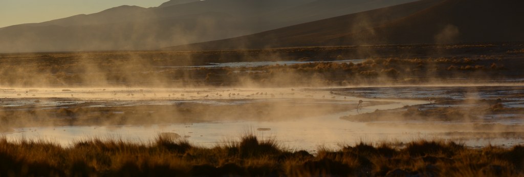 12a_1024x346.jpg
