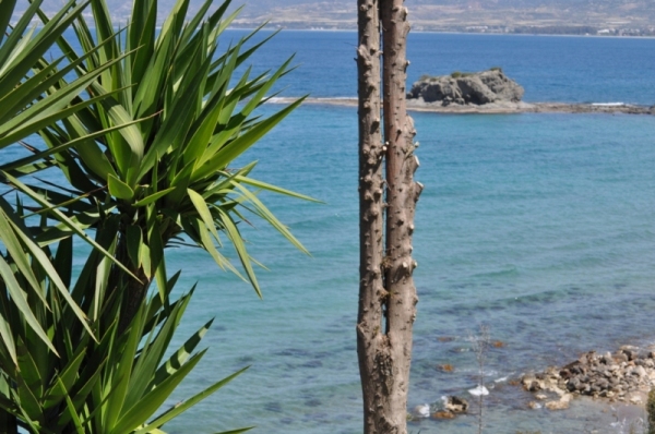 DSC_2425.JPG
