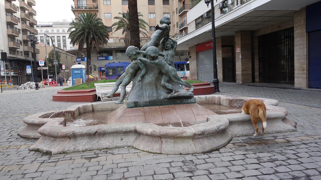 DSC01231.jpg