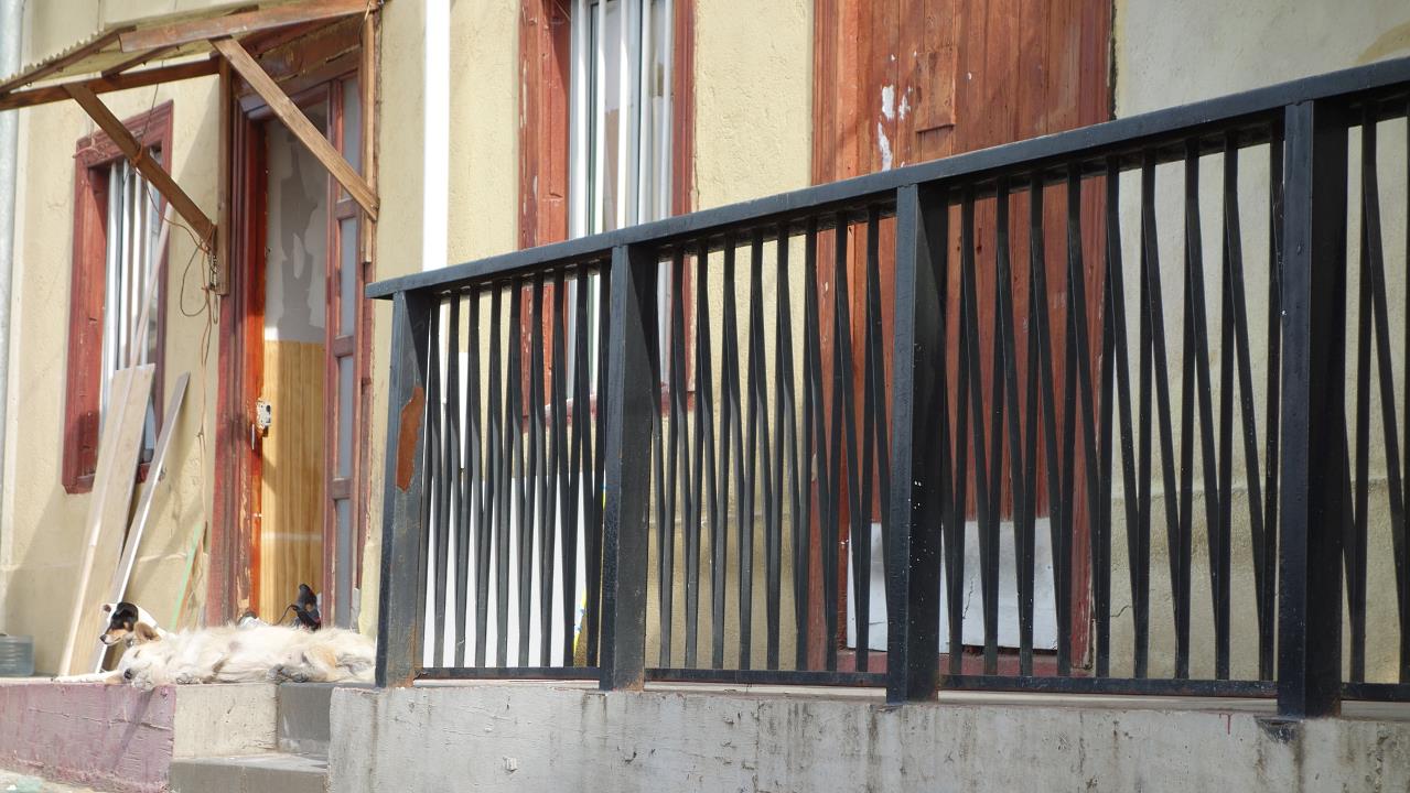 DSC02105.jpg