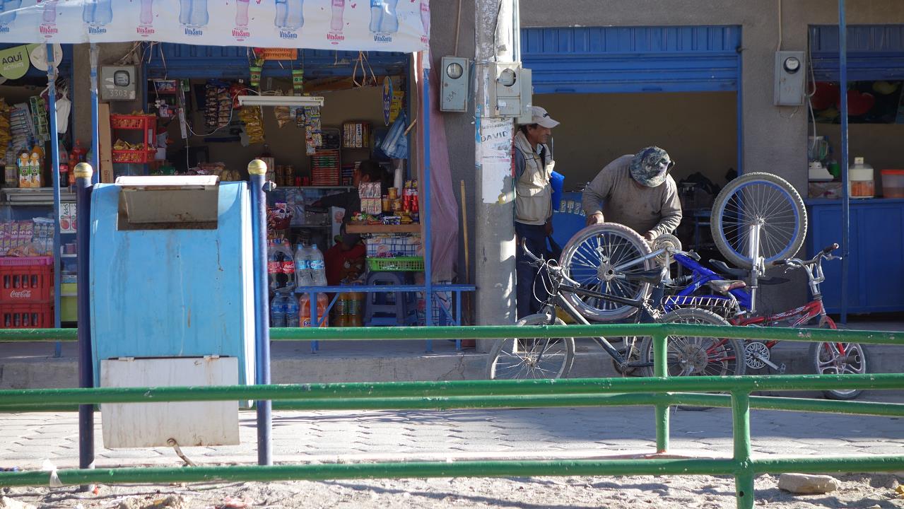 DSC01310.jpg