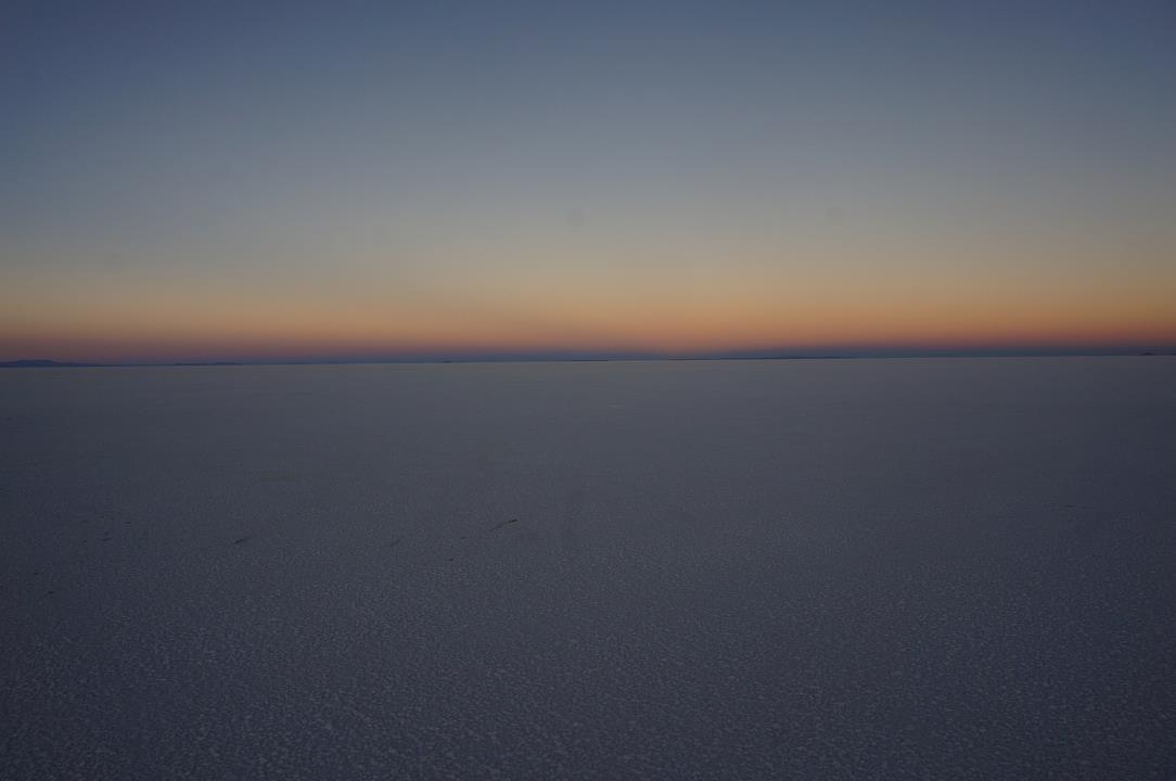 DSC04827.jpg