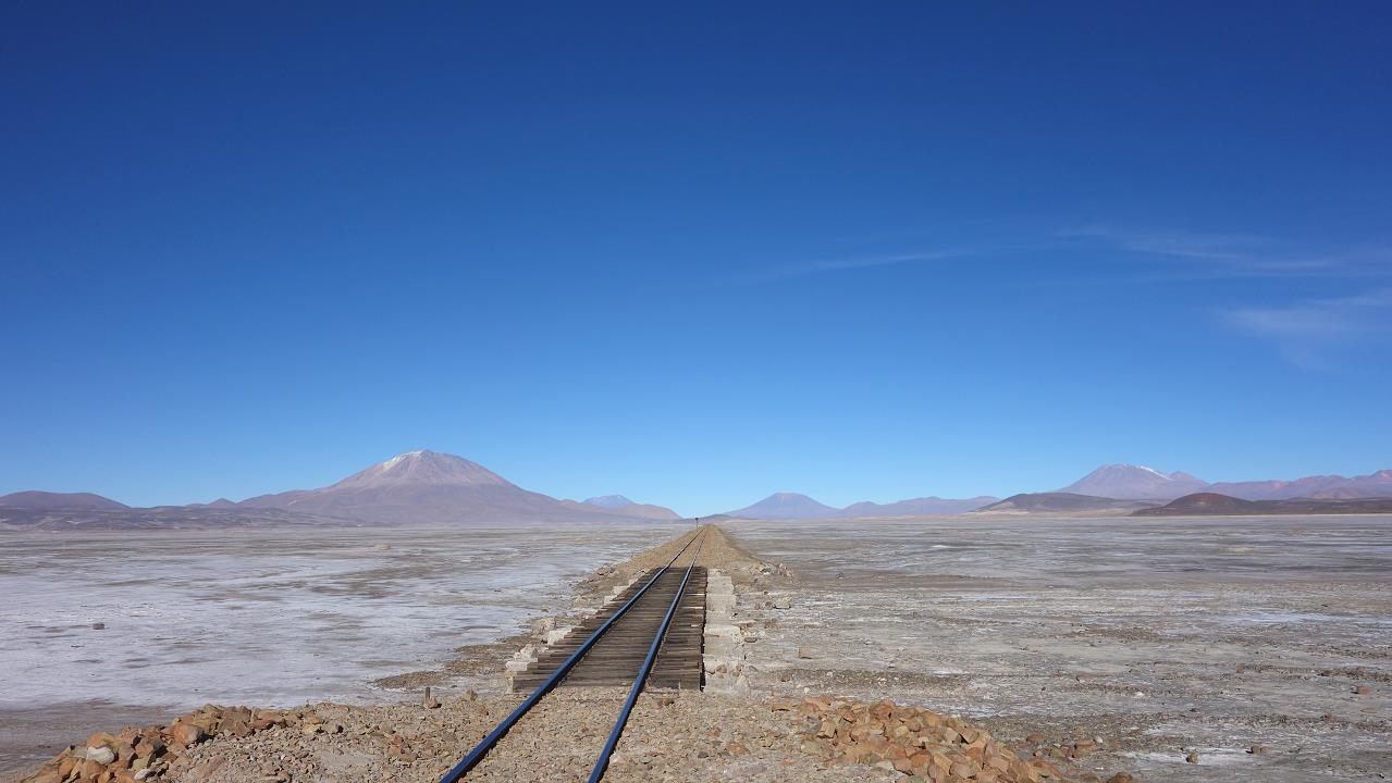 DSC01542.jpg