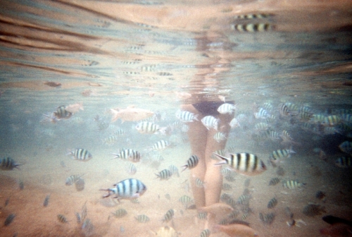 a_snorkeling Ko Tao.jpg