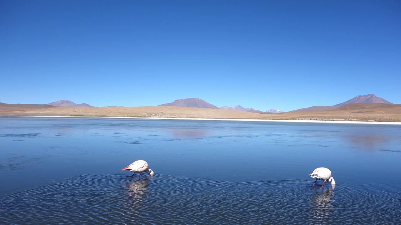 DSC01574.jpg
