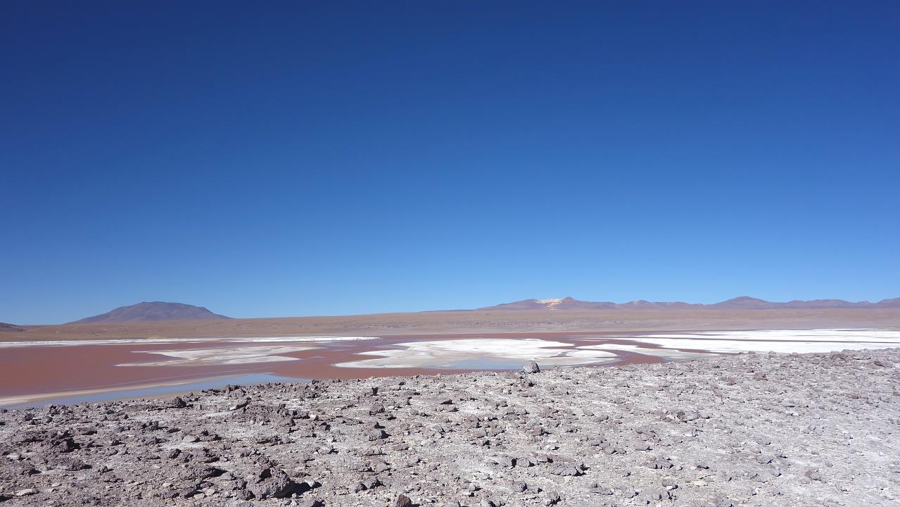 DSC01674.jpg