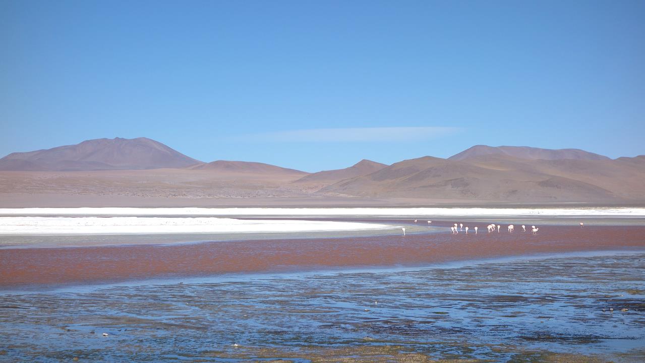DSC01677.jpg