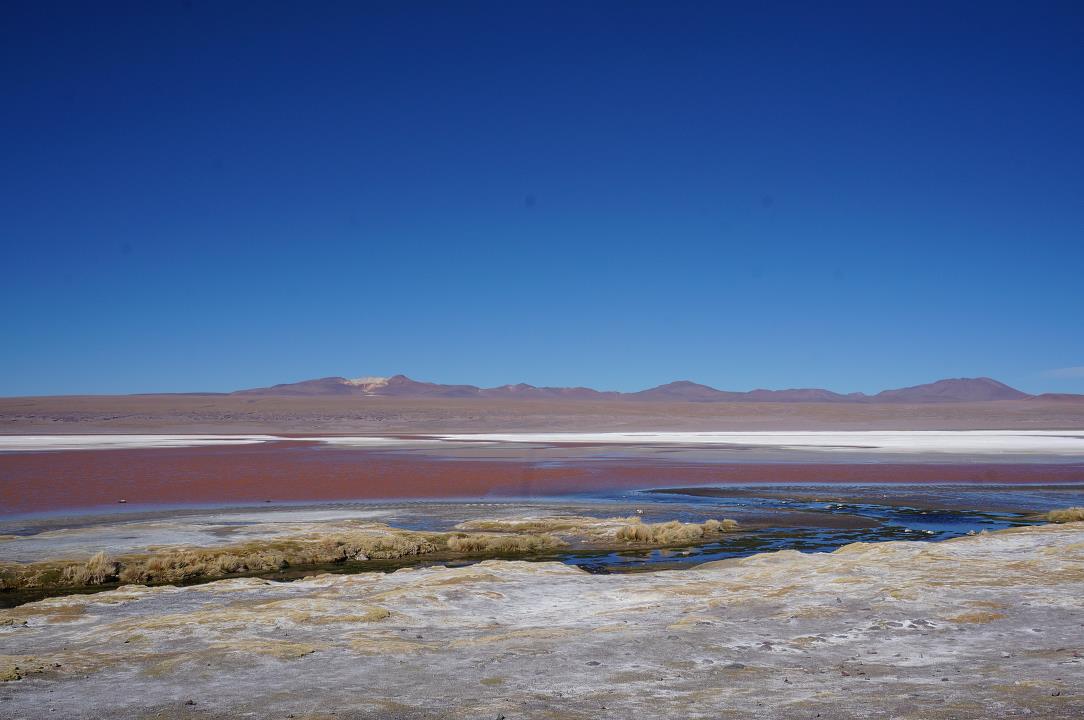 DSC05075.jpg