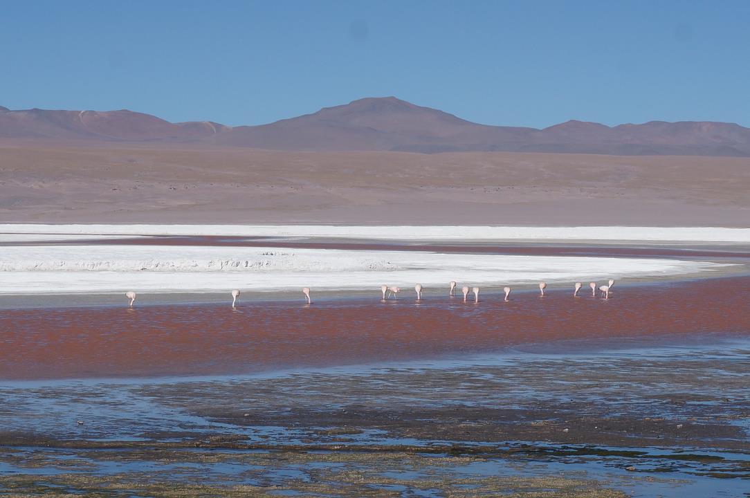 DSC05090.jpg