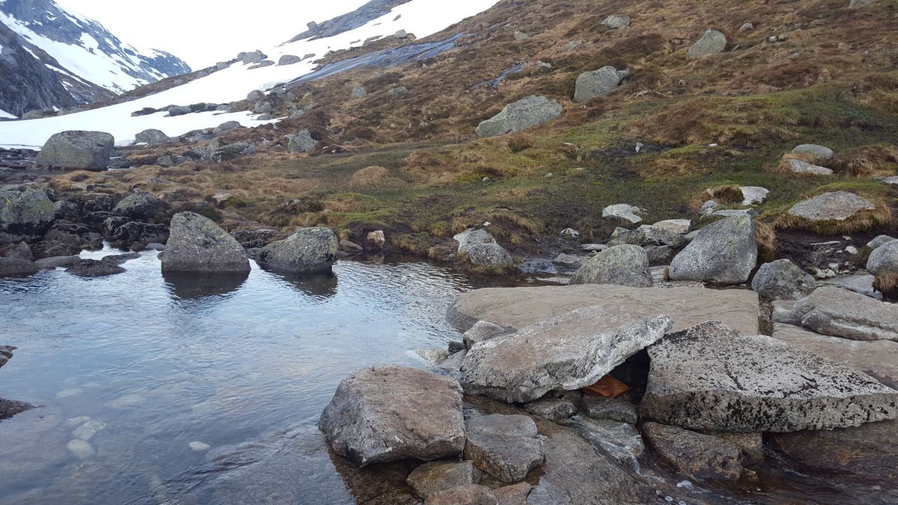 20160528_060754.jpg