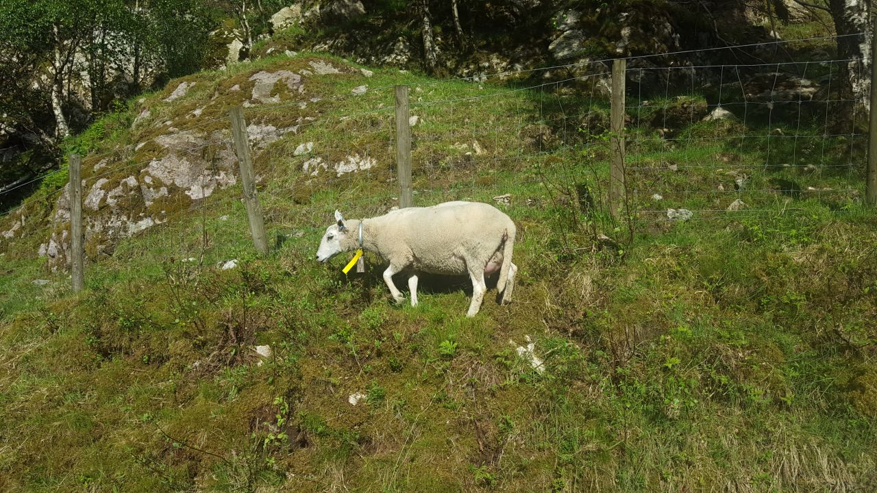 20160527_180427.jpg