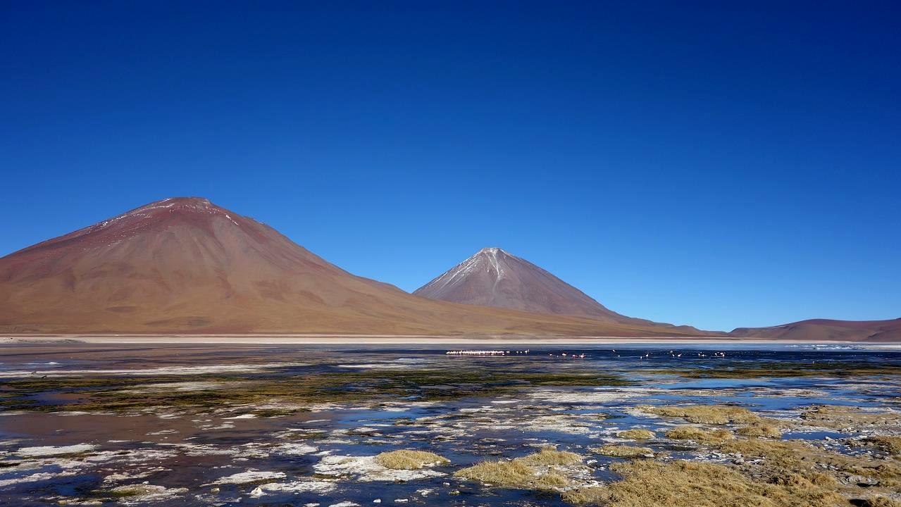 DSC01702.jpg