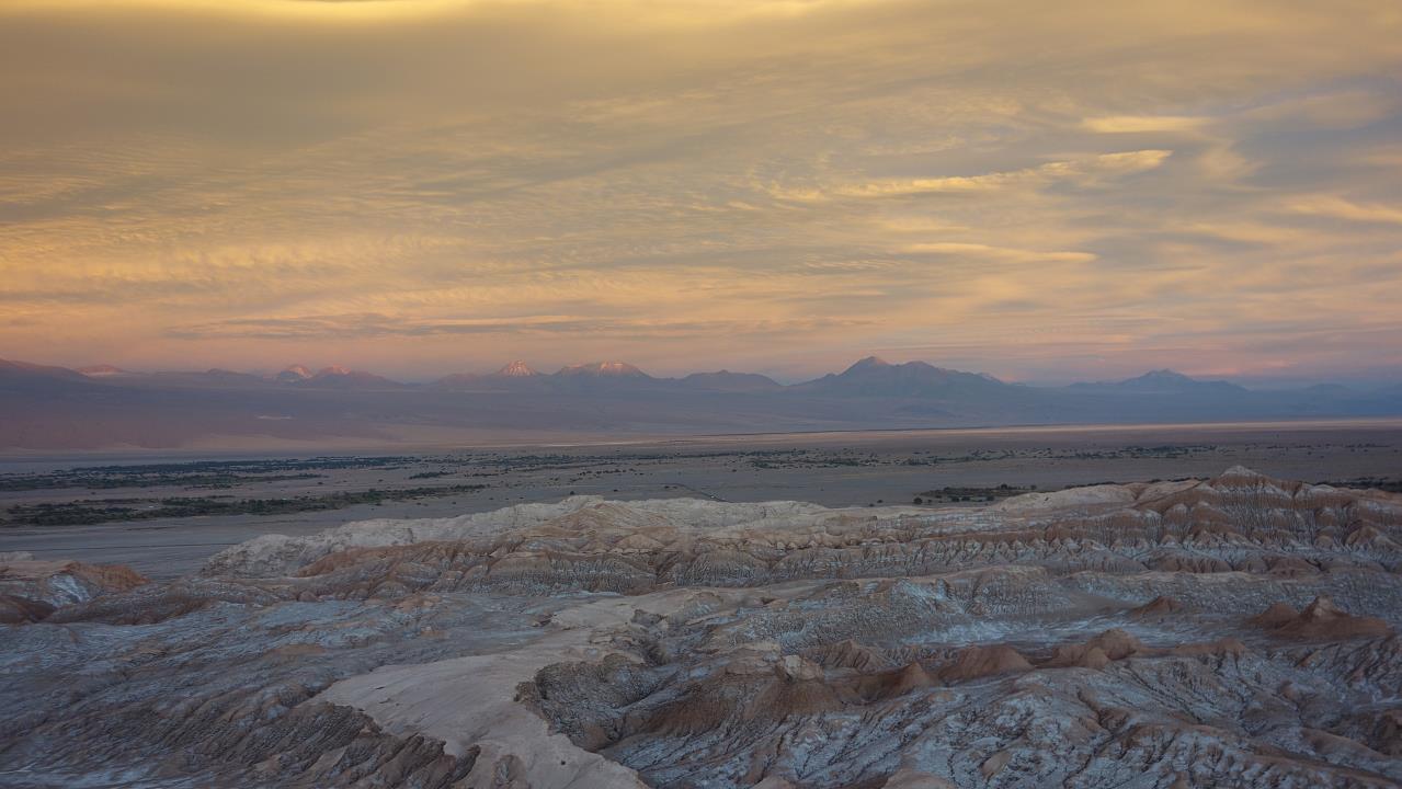 DSC01732.jpg