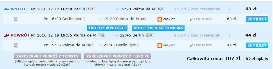 palma.png