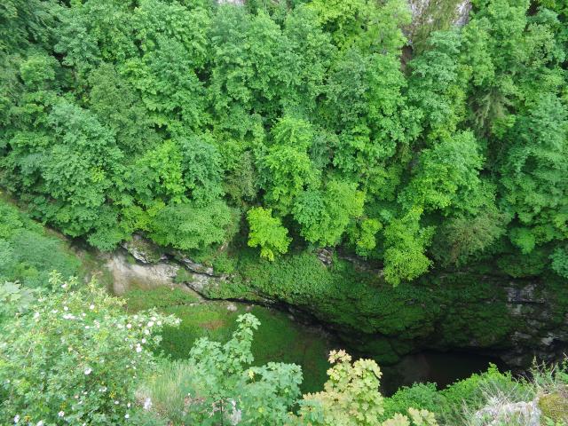 DSC08888.JPG