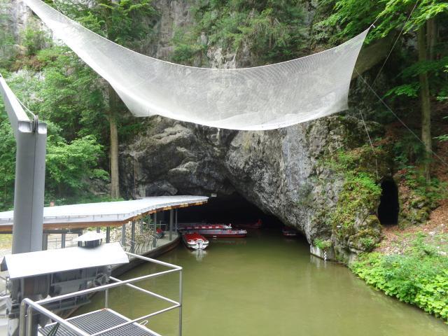 DSC08966.JPG