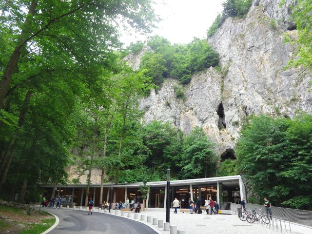 DSC08969.JPG