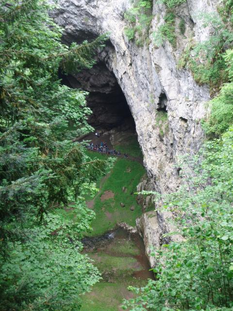 DSC08898.JPG