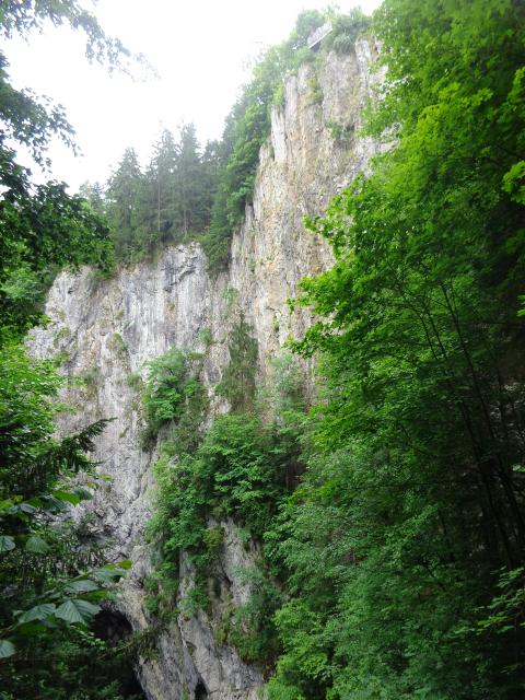 DSC08901.JPG