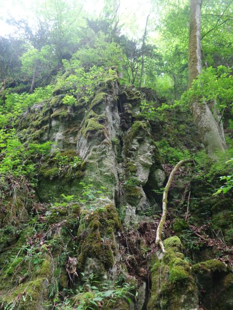 DSC08931.JPG